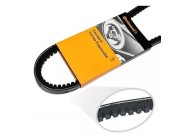 V-BELT AVX 13x 785 La CONTINENTAL (COGGED)