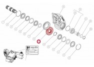 Capello 04.5036.00 Zupčanik Z-26