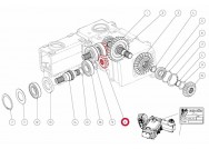 Capello 04.5101.00 Zupčanik Z-13