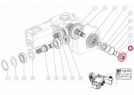 Capello 04.5015.00 Zupčanik Z-12