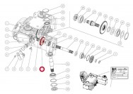 Capello 04.5053.00 Zupčanik Z-33