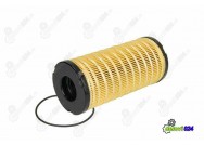 FUEL FILTER BS04-195 BOSS (INSERT)