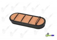 AIR FILTER P606121 DONALDSON (FINE)
