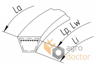V-BELT AVX 13x1150 La UNIBELT (COGGED)