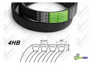 SZÍJ 4HB OPTIBELT YU46.661