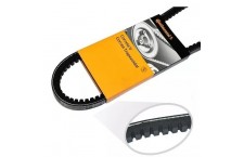 V-BELT AVX 13x 785 La CONTINENTAL (COGGED)