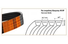 BELT 4HB CONTINENTAL (OJAČAN) 80391650 New Holland