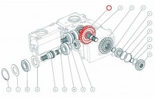 Capello 04.5030.00 Zupčanik Z-26