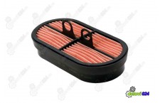 AIR FILTER P600975 DONALDSON (FINE)